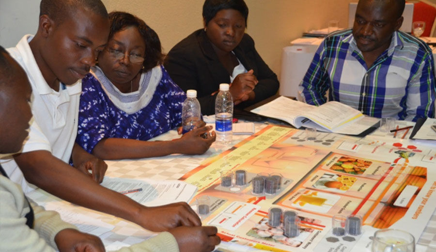 Training micro-entrepreneurs